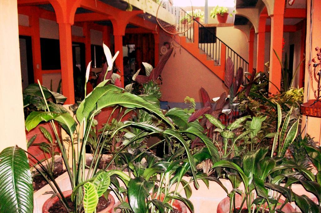 Hotel & Hostal Yaxkin Copán Δωμάτιο φωτογραφία