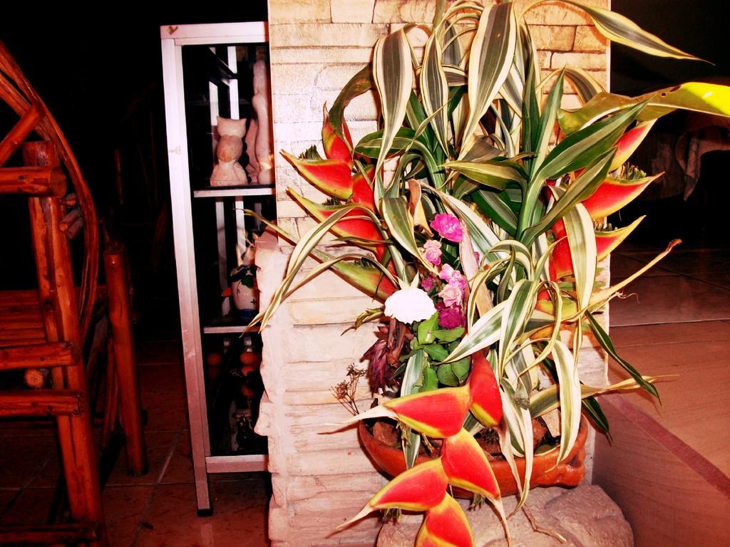 Hotel & Hostal Yaxkin Copán Εξωτερικό φωτογραφία